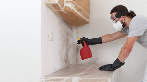 Professional Bathroom Mold Removal technician working in Shermans Dale, PA