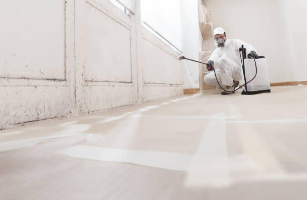 24/7 Emergency Bathroom Mold Removal experts in Shermans Dale, PA